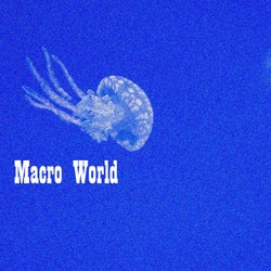 Macro World