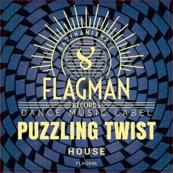 Puzzling Twist House