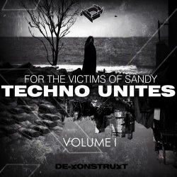 Techno Unites 'Victims of Sandy' Volume I