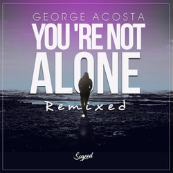 You're Not Alone - Remixed