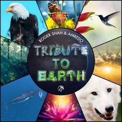 Tribute to Earth