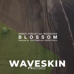 Blossom (feat. Rigidmoods) [The Remixes]