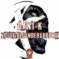 Voice Of Underground