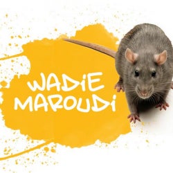 Wadie Maroudi March 2015 Chart