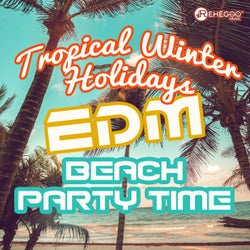 Tropical Winter Holidays: EDM Beach Party Time