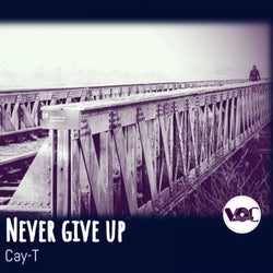 Never Give Up (Original Mix)