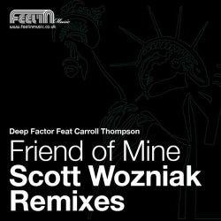 Friend Of Mine : The Scott Wozniak Remixes
