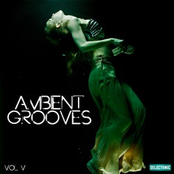 Ambient Grooves, Vol. 5