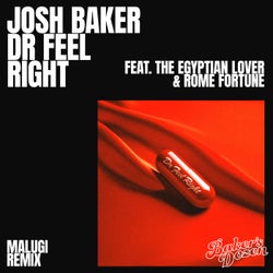 Dr Feel Right (feat. The Egyptian Lover & Rome Fortune) (Malugi Remix)