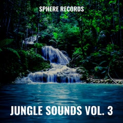 Jungle Sounds Vol. 3