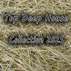 Top Deep House Collection 2025