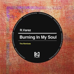 Burning In My Soul - The Remixes