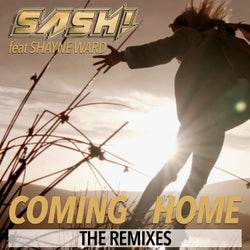 Coming Home - The Remixes