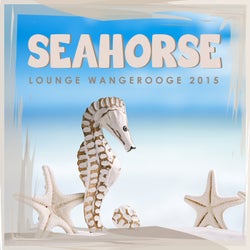 Seahorse Lounge Wangerooge 2015