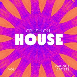 Crush On House, Vol. 1