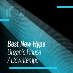 Best New Hype Organic House/Downtempo: May