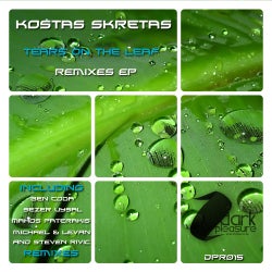 Tears On The Leaf Remixes EP