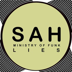 Ministry Of Funk - Lies