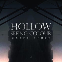 Seeing Colour (feat. Carpö)