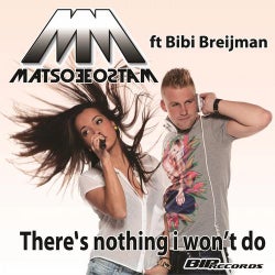 There's Nothing I Won't Do (Radio Edit)