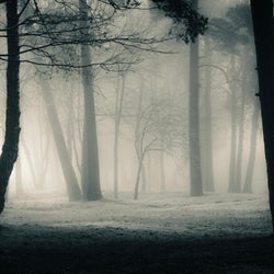 Walk for hours, dream for days