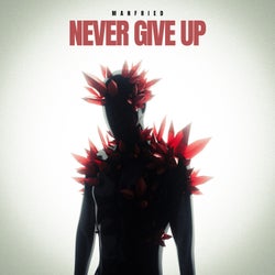 Never Give Up