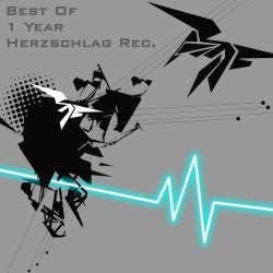 Best Of 1 Year Herzschlag Rec.