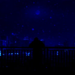 LONELY