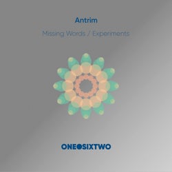 Missing Words / Experiments