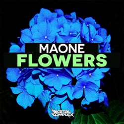Flowers (Radio Edit)
