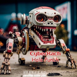 Hole Punch (Its Real Talking Mix)