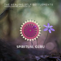 The Healing Self Settlements