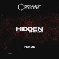 Hidden
