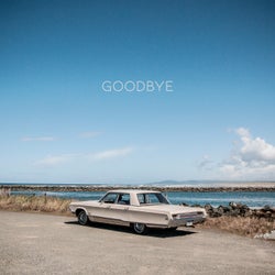 Goodbye