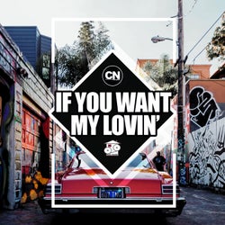 If You Want My Lovin'