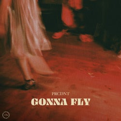 Gonna Fly
