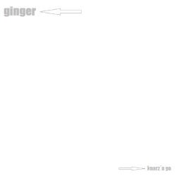 Ginger (Joan's Sour Mix)