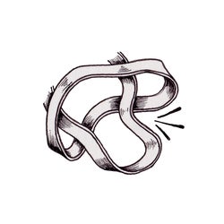 Elastics