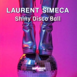 Shiny Disco Ball