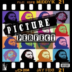 Picture Perfect (feat. Jay Fox!)