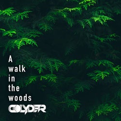 A walk in the woods