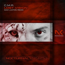 Lost Vision - Sam Laxton Remix