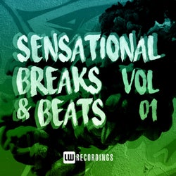 Sensational Breaks & Beats, Vol. 01