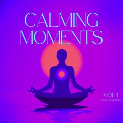 Calming Moments, Vol. 1