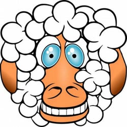 Crazy Sheep