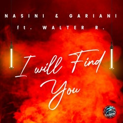 I WILL FIND YOU