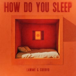 How Do You Sleep (Extended Mix)