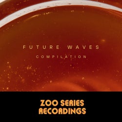 Future Waves