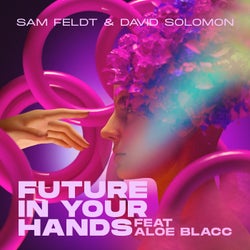 Future In Your Hands (feat. Aloe Blacc) [Extended Mix]
