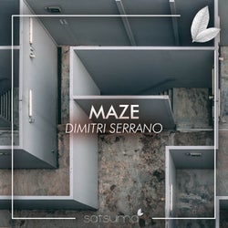 Maze